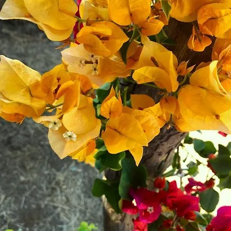 La Casa Blu Deluxe Villa Lipari