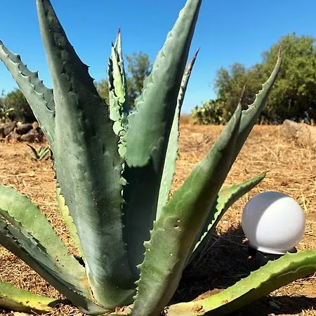 La Casa Blu Deluxe Villa