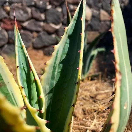 La Casa Blu Deluxe * Lipari