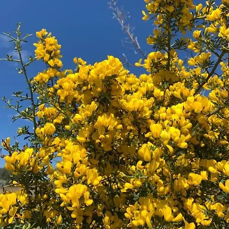 La Casa Blu Deluxe Villa Lipari