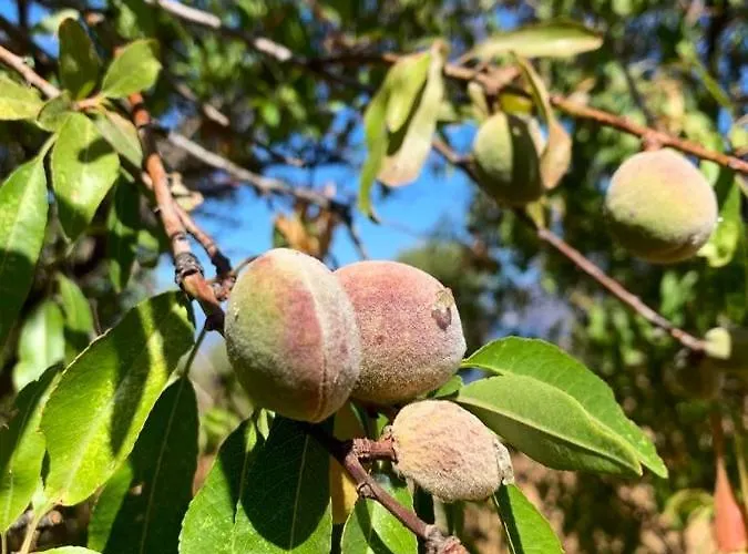 Βίλα La Casa Blu Deluxe Λίπαρι