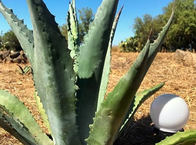 La Casa Blu Deluxe Villa