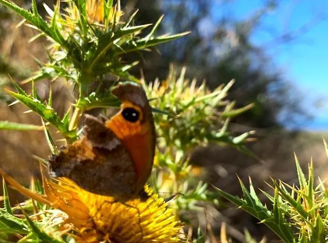 La Casa Blu Deluxe *