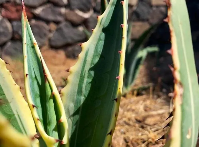 La Casa Blu Deluxe * Lipari