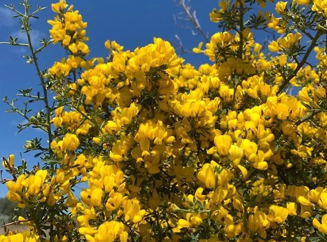 La Casa Blu Deluxe Βίλα Λίπαρι